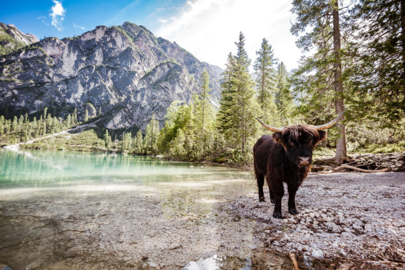 Eurotrip 2018 - dodávkou po evropě