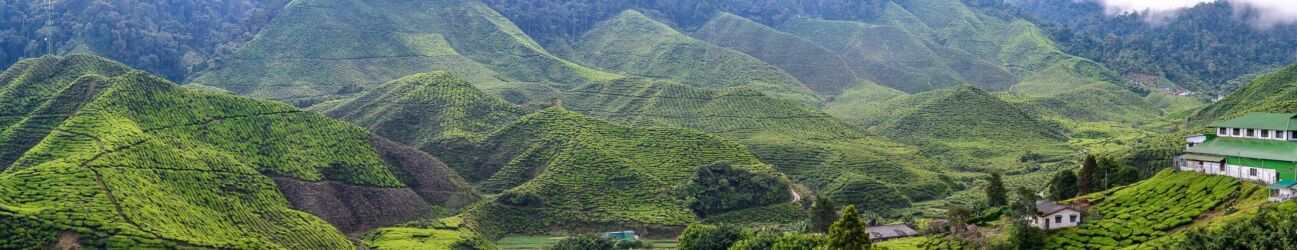 Panorama údolí Cameron Highlands - Malajsie cestopis, Martin Šístek